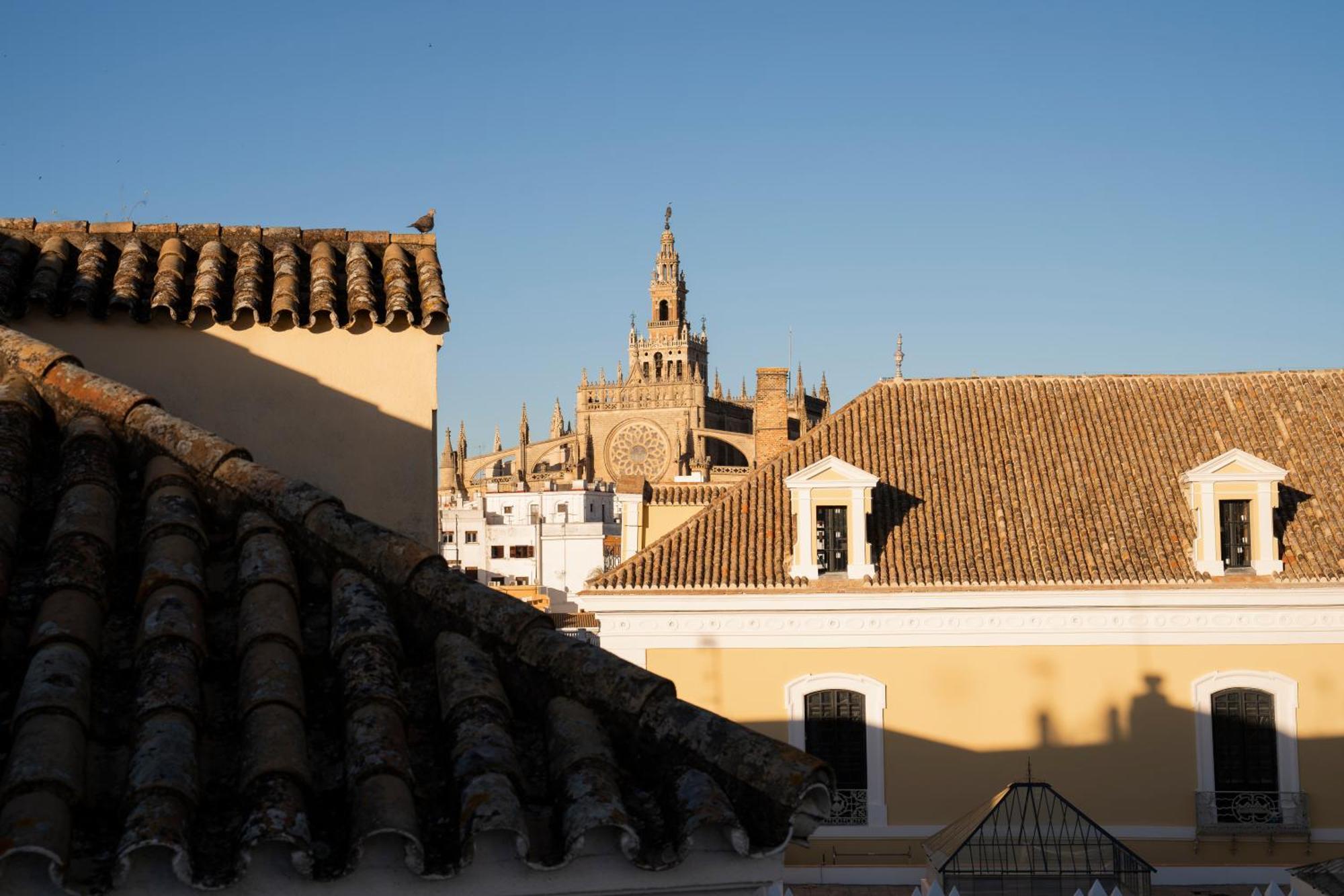 Apartamento Petite California Dos De Mayo Sevilla Exterior foto